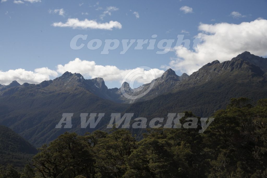 The Hollyford Valley Fiordland New Zealand
