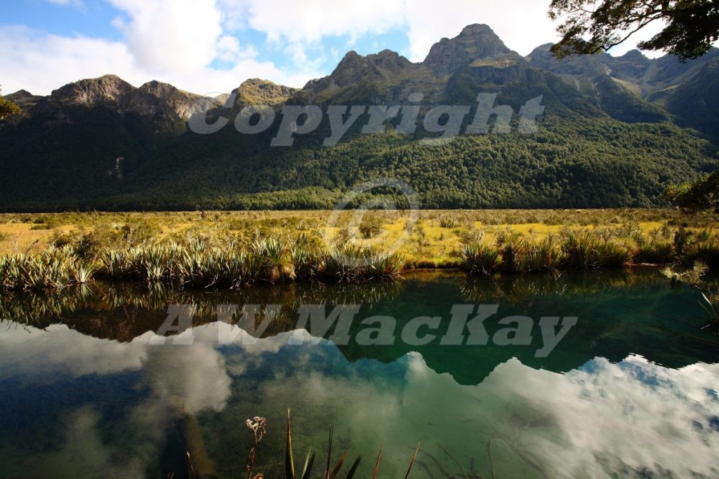 Mirror Lakes Fiordland New Zealand