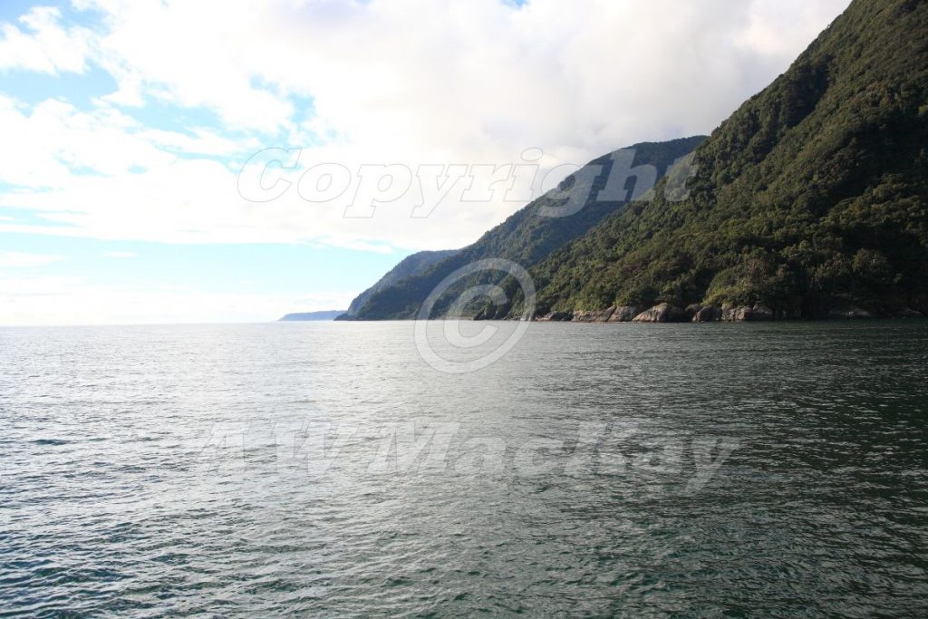 Fiordland Coastline New Zealand